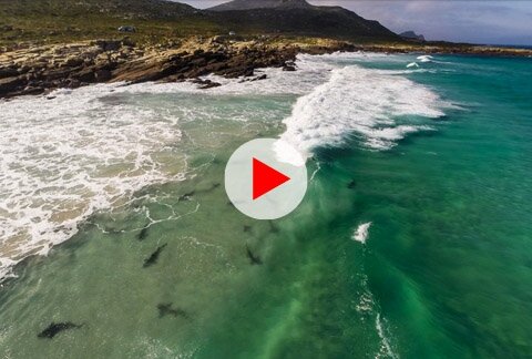 Aerial Cape Town, South Africa, by Phantom 2