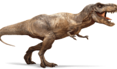 Tyrannosaurus Rex. 