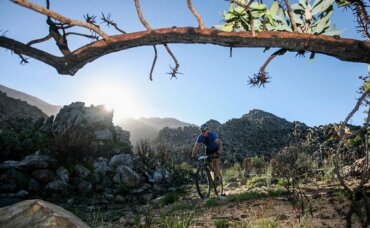 Dutoit Tankwa Trek loaded with a strong international line-up