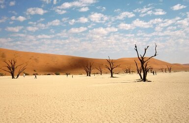 Walking around the dead vlei.