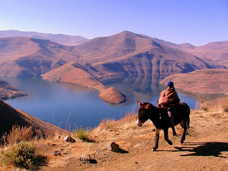 Pony trekking