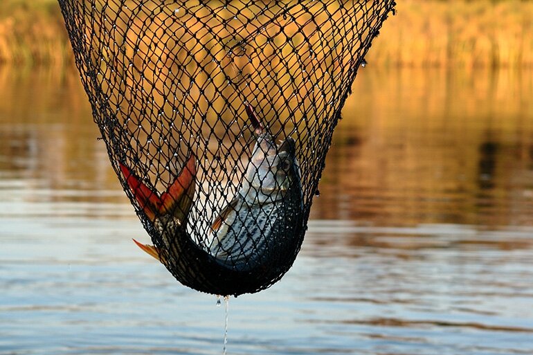 Tiger fishing is just one of the activities to keep you entertained at nXamaseri.